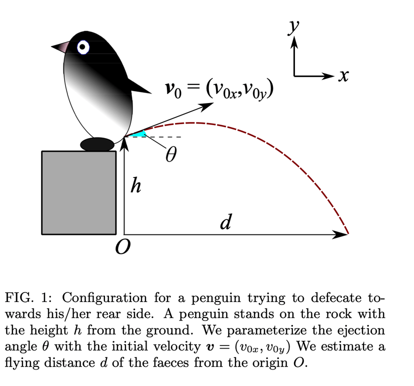 The Fascinating World of Penguin Poop: Ecological and Scientific Insights